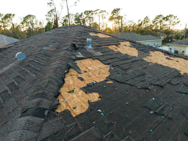 Best Rubber Roofing (EPDM, TPO)  in Harveys Lake, PA