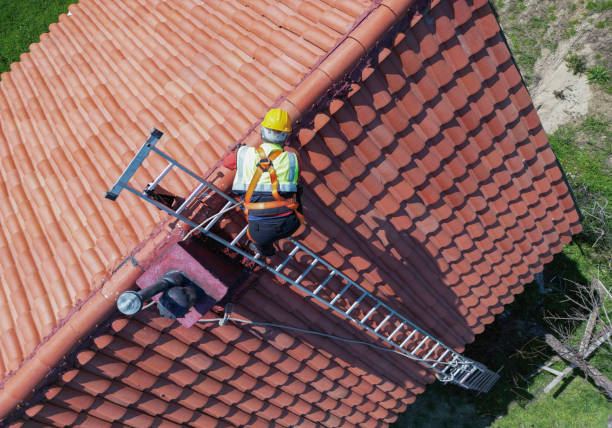 Best Skylight Installation and Repair  in Harveys Lake, PA